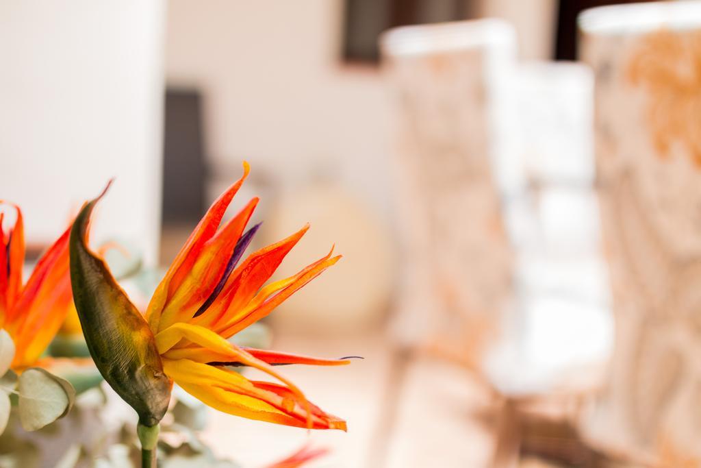 La Torre Apartment Cordoba Ngoại thất bức ảnh